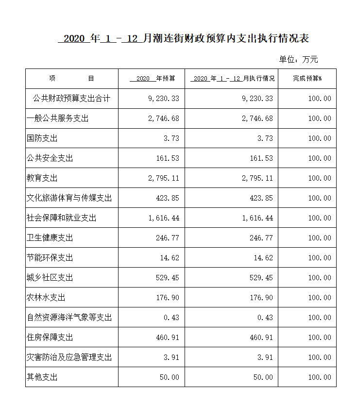 2020年1-12月潮連街財政預算內支出執行情況表.png
