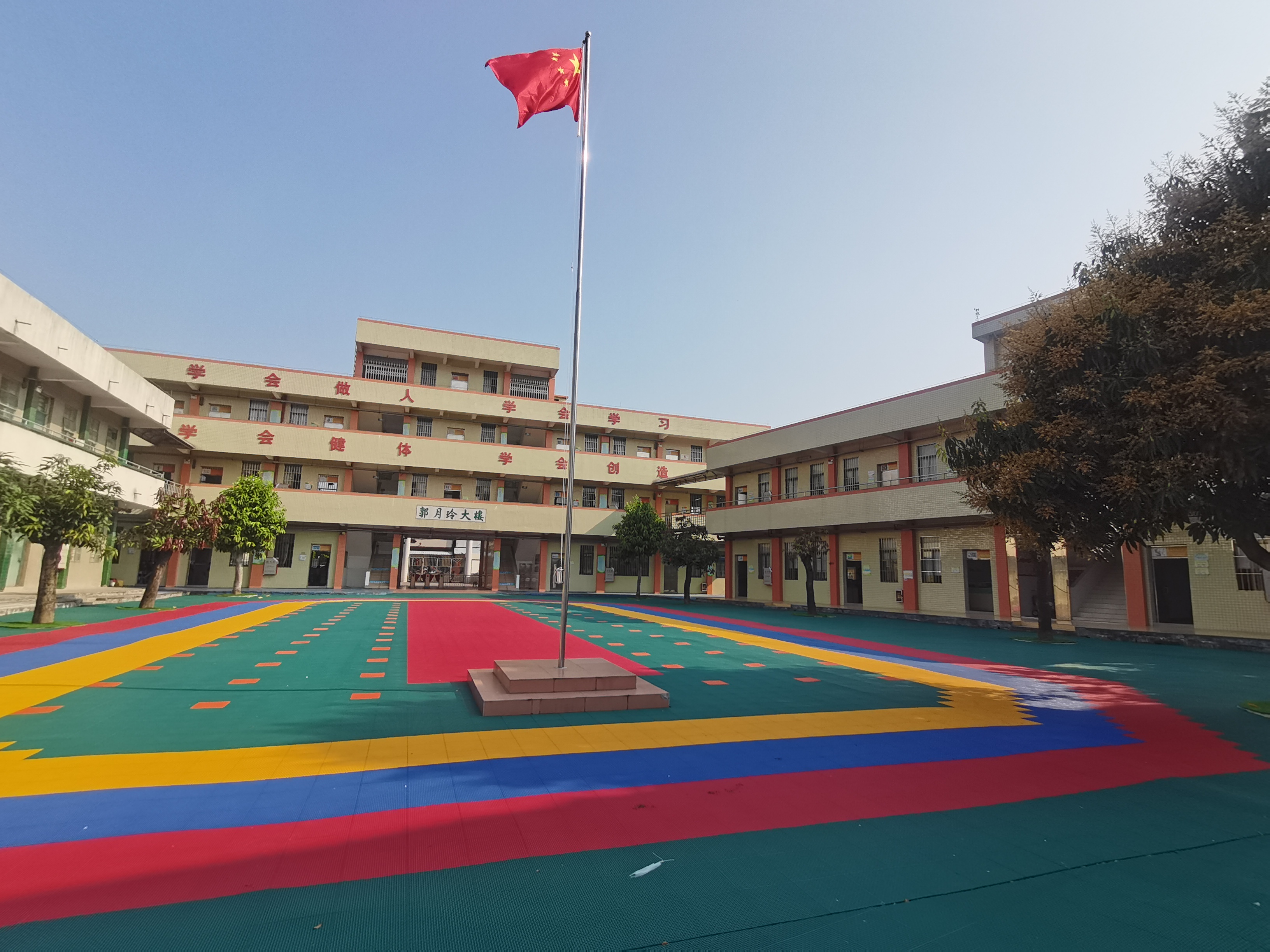 江門市蓬江區棠下鎮大林小學校內.jpg