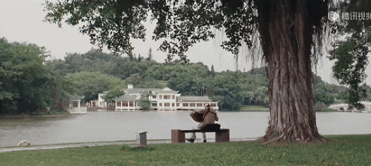 640.gif